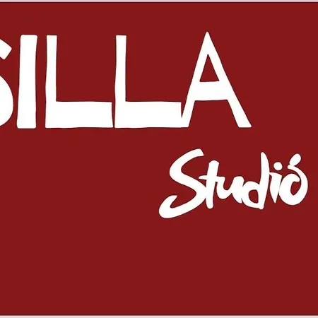 Silla Studiò - piccolo appartamento a due passi dal Vaticano-2